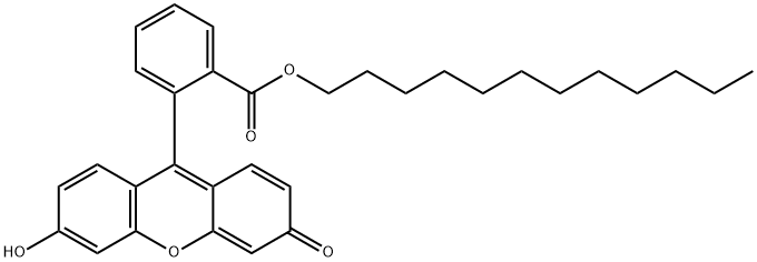 FLUORESCEIN DODECYL ESTER Struktur