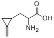 hypoglycin Structure