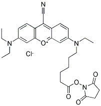 NIR-667 N-SUCCINIMIDYL ESTER Struktur