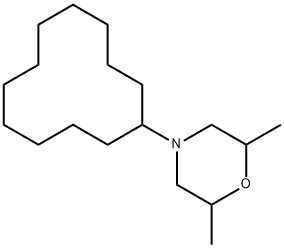 1593-77-7 Structure