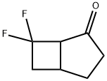 Bicyclo[3.2.0]heptan-2-one, 7,7-difluoro- (9CI) Struktur