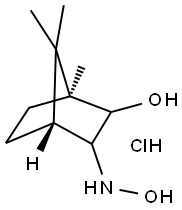 (+)-3-HYDROXYLAMINO ISOBORNEOL HYDROCHLORIDE, 97 Struktur