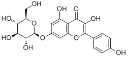 KAEMPFEROL-7-O-GLUCOSIDE Struktur