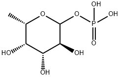 (3,4,5-trihydroxy-6-methyl-oxan-2-yl)oxyphosphonic acid