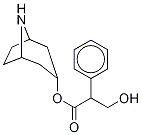 Noratropine price.