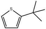 2-T-BUTYLTHIOPHENE Struktur