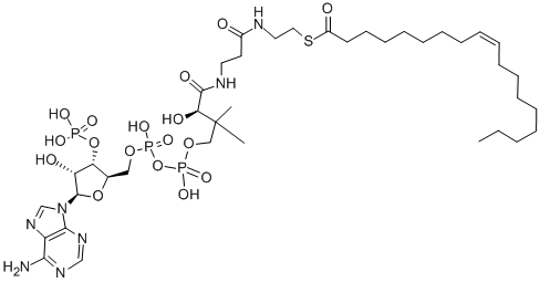 Oleoyl coenzyme A Struktur