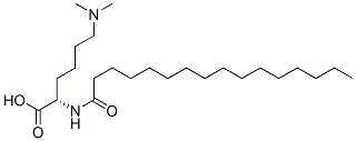 N6,N6-dimethyl-N2-palmitoyl-L-lysine  Struktur