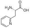 BETA-(2-PYRIDYL)-DL-ALANINE