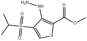 METHYL 3-HYDRAZINO-4-(ISOPROPYLSULFONYL)THIOPHENE-2-CARBOXYLATE Struktur