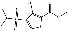 METHYL 3-CHLORO-4-(ISOPROPYLSULFONYL)THIOPHENE-2-CARBOXYLATE price.