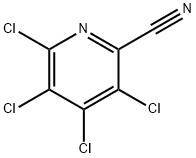 3,4,5,6-Tetrachloropyridine-2-carbonitrile|3,4,5,6-四氯吡啶-2-甲腈