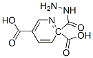 2,5-Pyridinedicarboxylicacid,2-hydrazide(8CI) Struktur