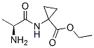 Cyclopropanecarboxylic acid, 1-[(2-amino-1-oxopropyl)amino]-, ethyl ester, (S)- (9CI) Struktur