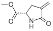 L-Proline, 4-methylene-5-oxo-, methyl ester (9CI) Struktur