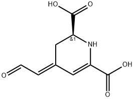 (2S,4E)-1,2,3,4-Tetrahydro-4-(2-oxoethylidene)pyridine-2,6-dicarboxylic acid Struktur