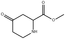 2-Piperidinecarboxylicacid,4-oxo-,methylester(9CI) Struktur