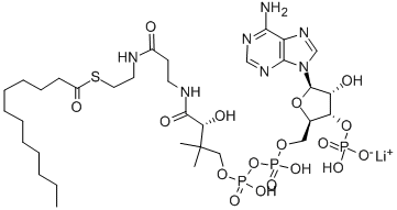 LAUROYL COENZYME A C12:0 LITHIUM SALT Struktur