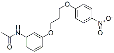 N-[3-[3-(4-nitrophenoxy)propoxy]phenyl]acetamide Struktur