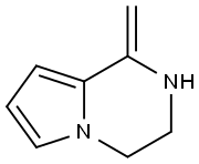 Pyrrolo[1,2-a]pyrazine, 1,2,3,4-tetrahydro-1-methylene- (9CI) Struktur