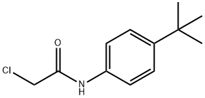 N1-[4-(TERT-BUTYL)PHENYL]-2-CHLOROACETAMIDE Struktur