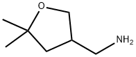 [(5,5-dimethyltetrahydrofuran-3-yl)methyl]amine Struktur