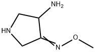 3-Pyrrolidinone,4-amino-,O-methyloxime(9CI) Struktur