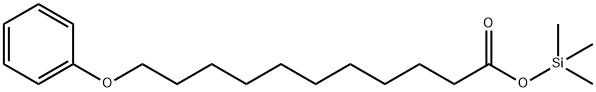 11-Phenoxyundecanoic acid trimethylsilyl ester Struktur