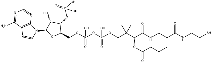 [5-(6-aminopurin-9-yl)-2-[[[[3-[2-(2-butanoylsulfanylethylcarbamoyl)ethylcarbamoyl]-3-hydroxy-2,2-dimethyl-propoxy]-hydroxy-phosphoryl]oxy-hydroxy-phosphoryl]oxymethyl]-4-hydroxy-oxolan-3-yl]oxyphosphonic acid Struktur