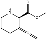 2-Piperidinecarboxylicacid,3-ethenylidene-,methylester,(2R)-(9CI) Struktur