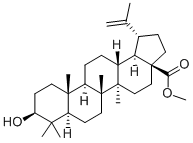 BETULINIC ACID METHYL ESTER