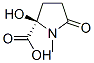 Proline, 2-hydroxy-1-methyl-5-oxo- (8CI,9CI) Struktur