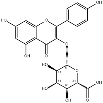 KAEMPFEROL-3-GLUCURONIDE Struktur