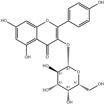 kaempferol-3-O-galactoside