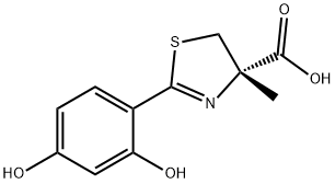 239101-33-8 結(jié)構(gòu)式