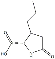 5-oxo-3-propyl-pyrrolidine-2-carboxylic acid Struktur