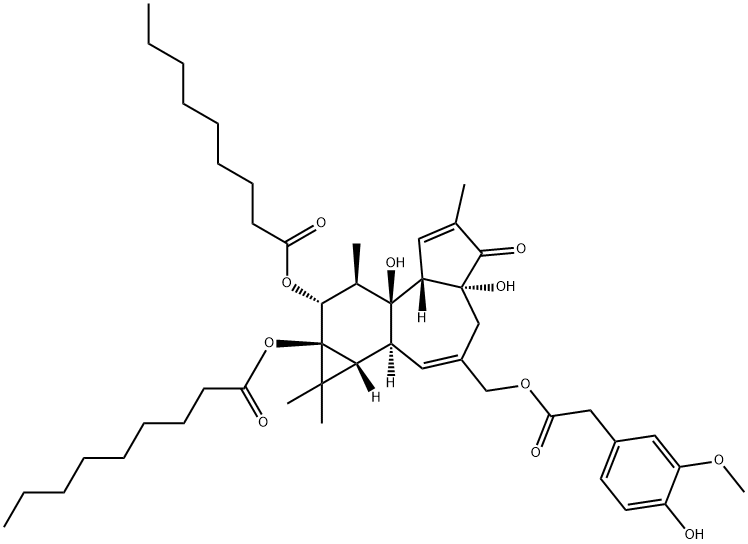 PDNHV Struktur