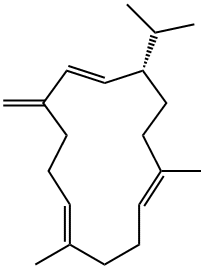 (-)-Isocembrene Struktur