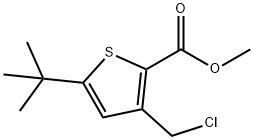 METHYL 5-(TERT-BUTYL)-3-(CHLOROMETHYL)THIOPHENE-2-CARBOXYLATE Struktur