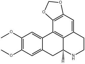 nordicentrine Struktur