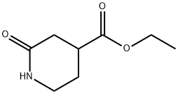 ethyl 2-oxopiperidine-4-carboxylate Struktur