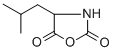 (R,S)-4-ISOBUTYLOXAZOLIDINE-2,5-DIONE Struktur