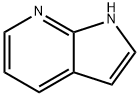 7-Azaindole 