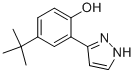 3-(2-HYDROXY-5-TERT-BUTYLPHENYL)PYRAZOLE Struktur