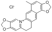 CORYSAMINE CHLORIDE Struktur