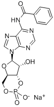 6-BNZ-CAMP SODIUM SALT Struktur