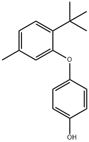 t-BUTYL METHYLPHENOXY PHENOL Struktur