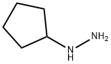 CYCLOPENTYLHYDRAZINE Struktur