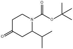 1-BOC-2-ISOPROPYL-PIPERIDIN-4-ONE price.