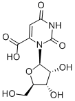 OROTIDINE Struktur